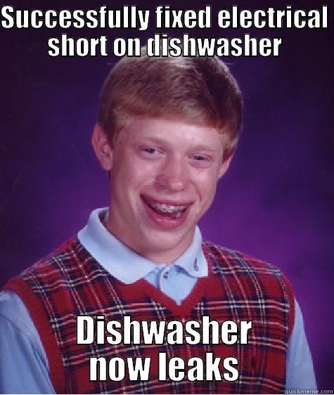 SUCCESSFULLY FIXED ELECTRICAL SHORT ON DISHWASHER DISHWASHER NOW LEAKS Bad Luck Brian