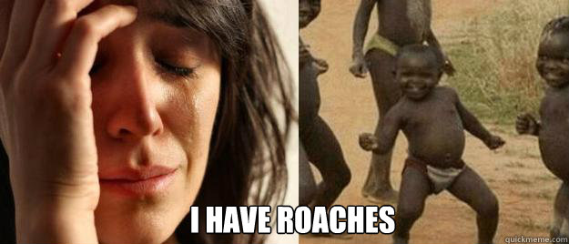  I have roaches -  I have roaches  First World Problems  Third World Success