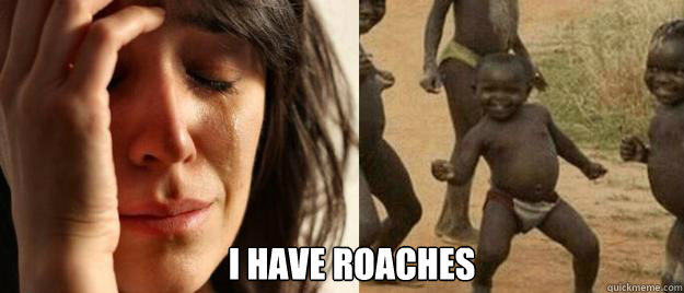  I have roaches  First World Problems  Third World Success