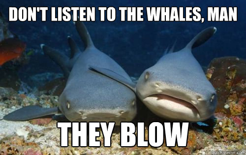 Don't listen to the whales, man They Blow  Compassionate Shark Friend