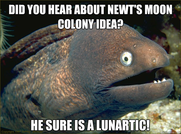 did you hear about Newt's moon colony idea? he sure is a lunartic!  Bad Joke Eel