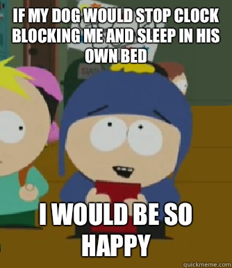 If my dog would stop clock blocking me and sleep in his own bed I would be so happy  Craig - I would be so happy