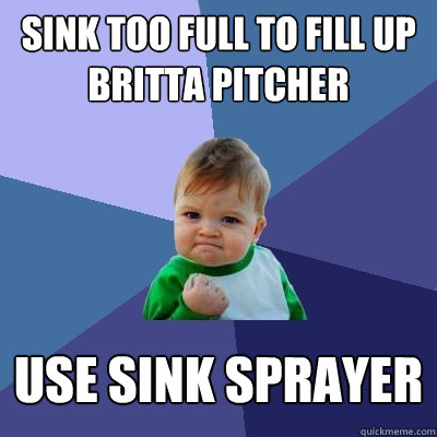 Sink too full to fill up britta pitcher use sink sprayer  Success Kid