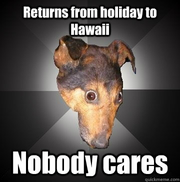 Returns from holiday to Hawaii Nobody cares - Returns from holiday to Hawaii Nobody cares  Depression Dog