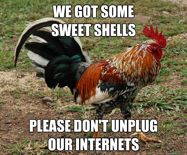 We got some
sweet shells PLEASE DON'T UNPLUG
OUR INTERNETS - We got some
sweet shells PLEASE DON'T UNPLUG
OUR INTERNETS  Red Team Rooster
