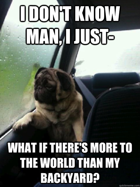 I don't know man, I just- What if there's more to the world than my backyard? - I don't know man, I just- What if there's more to the world than my backyard?  Introspective Pug