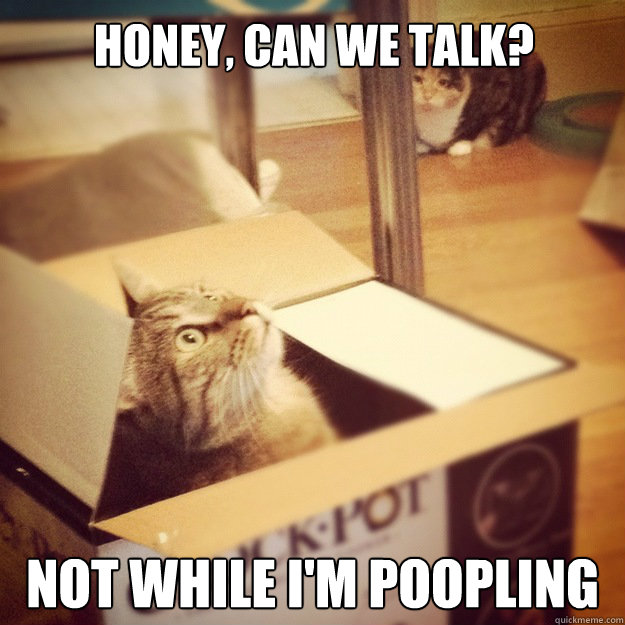 Honey, can we talk? Not while I'm poopling - Honey, can we talk? Not while I'm poopling  Cats wife