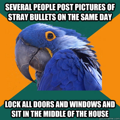 Several people post pictures of stray bullets on the same day Lock all doors and windows and sit in the middle of the house  Paranoid Parrot