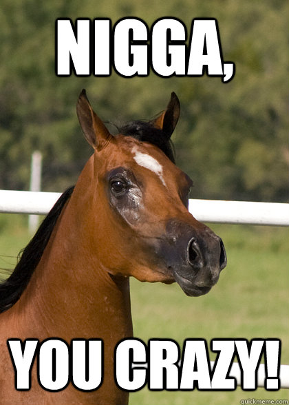 Nigga, you crazy! - Nigga, you crazy!  Seriously stupid meme