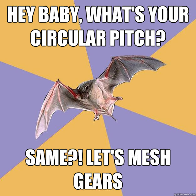 hey baby, what's your circular pitch? same?! let's mesh gears  Engineering Major Bat