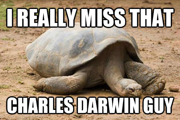 I REALLY MISS THAT CHARLES DARWIN GUY  Depression Turtle