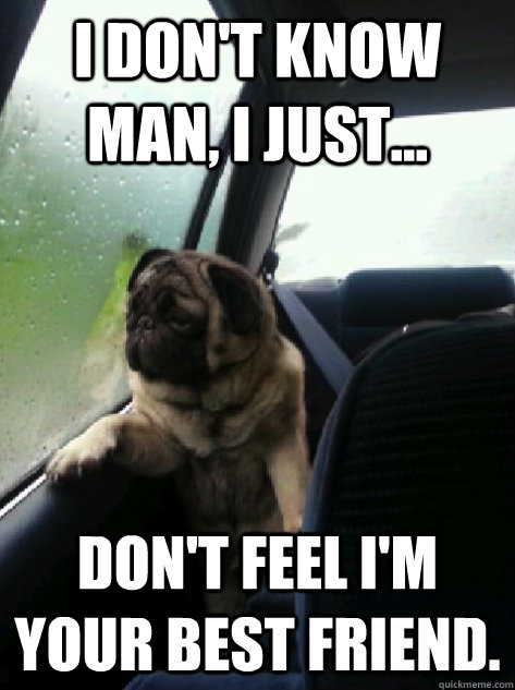 I don't know man, I just... don't feel i'm your best friend.  Introspective Pug