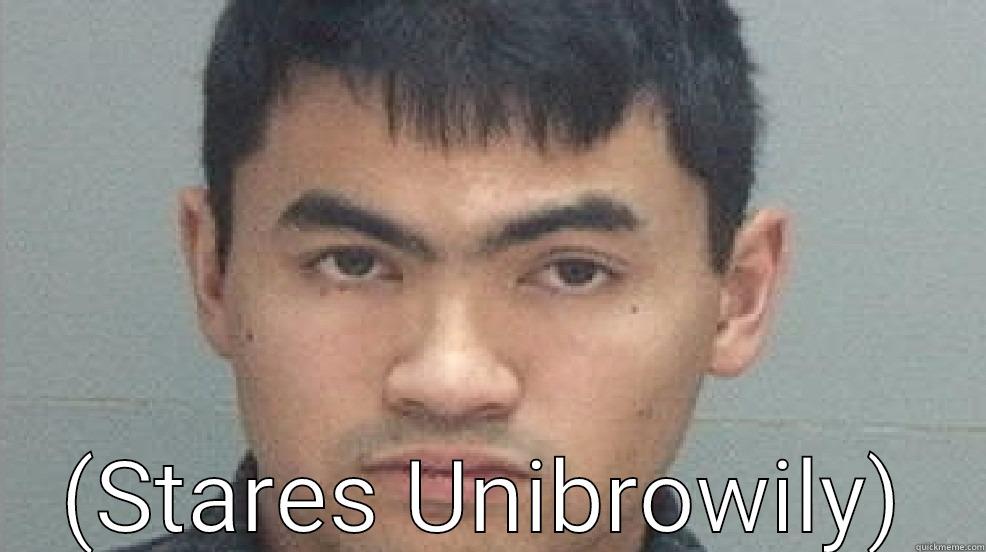  (STARES UNIBROWILY) Misc