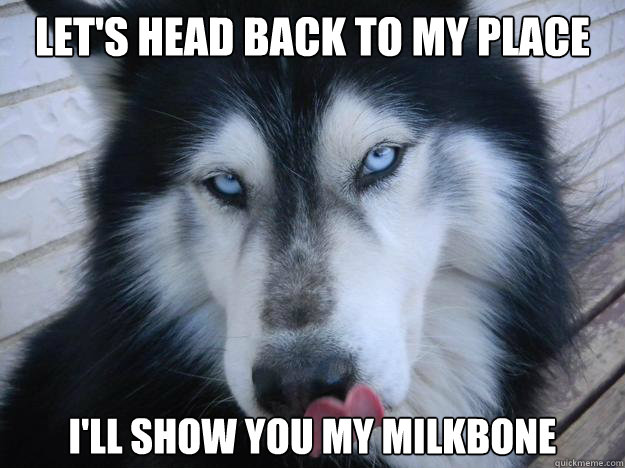 Let's head back to my place I'll show you my milkbone - Let's head back to my place I'll show you my milkbone  Seductive Husky