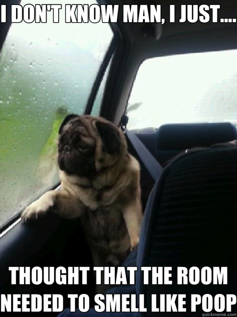 I DON'T KNOW MAN, I JUST.... THOUGHT THAT THE ROOM NEEDED TO SMELL LIKE POOP - I DON'T KNOW MAN, I JUST.... THOUGHT THAT THE ROOM NEEDED TO SMELL LIKE POOP  Introspective Pug