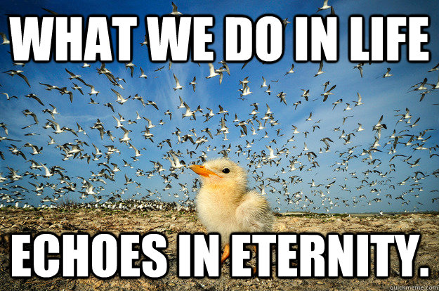 What we do in life echoes in eternity.  - What we do in life echoes in eternity.   Epic Seagull