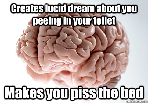 Creates lucid dream about you peeing in your toilet Makes you piss the bed  Scumbag Brain