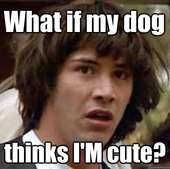 What if my dog thinks I'M cute?  conspiracy keanu