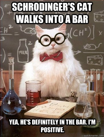 Schrodinger's Cat walks into a bar Yea, he's definitely in the bar. I'm positive.  Chemistry Cat