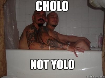 CHOLO NOT YOLO  yolo cholo