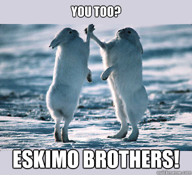 You too? Eskimo brothers! - You too? Eskimo brothers!  Bunny Bros