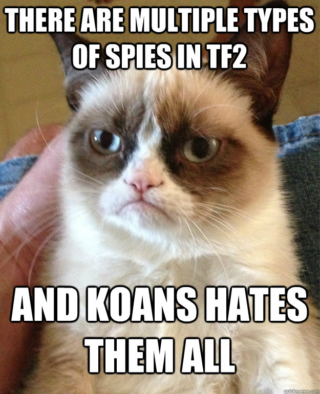 there are multiple types of spies in TF2 and Koans hates them all  Grumpy Cat