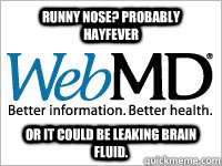 Runny nose? Probably hayfever Or it could be leaking brain fluid.  - Runny nose? Probably hayfever Or it could be leaking brain fluid.   Scumbag WebMD