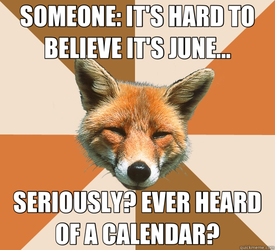 SOMEONE: IT'S HARD TO BELIEVE IT'S JUNE... SERIOUSLY? EVER HEARD OF A CALENDAR?  Condescending Fox