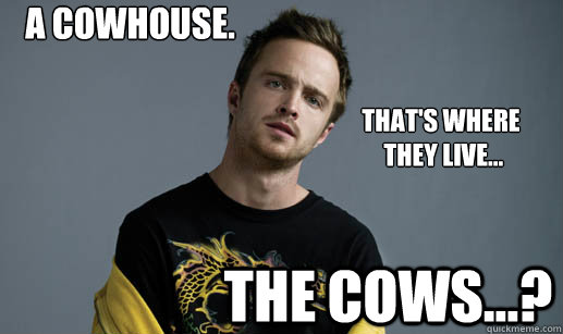 A COWHOUSE. THE COWS...? That's Where
 they live...  - A COWHOUSE. THE COWS...? That's Where
 they live...   Jesse Pinkman Loves the word Bitch