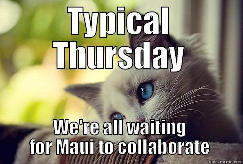 TYPICAL THURSDAY WE'RE ALL WAITING FOR MAUI TO COLLABORATE First World Problems Cat