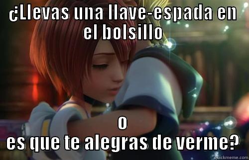 sora empalmado - ¿LLEVAS UNA LLAVE-ESPADA EN EL BOLSILLO O ES QUE TE ALEGRAS DE VERME? Misc