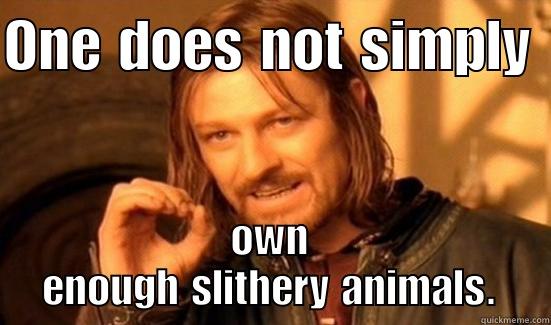 ONE DOES NOT SIMPLY  OWN ENOUGH SLITHERY ANIMALS. Boromir