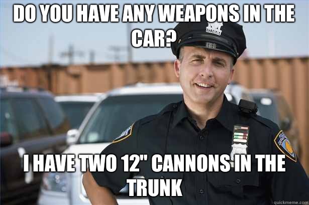Do you have any weapons in the car? I have two 12