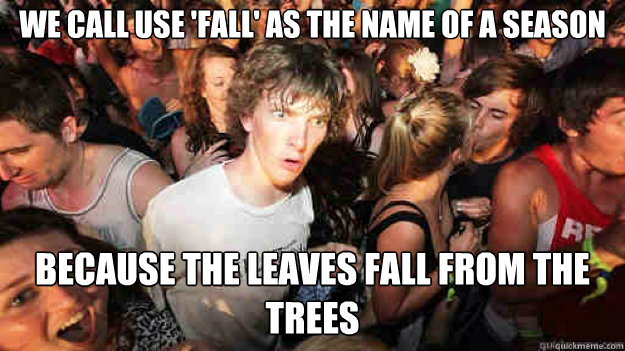 We call use 'Fall' as the name of a season  Because the leaves fall from the trees  Sudden Clarity Clarence