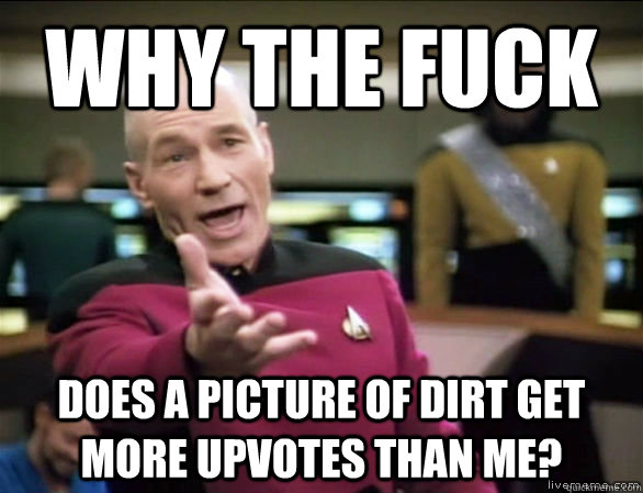 Why the fuck Does a picture of dirt get more upvotes than me?  Annoyed Picard HD