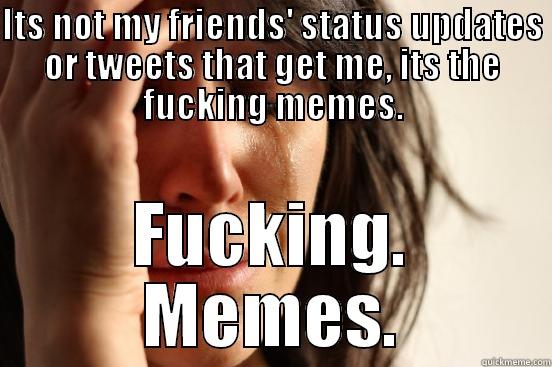 ITS NOT MY FRIENDS' STATUS UPDATES OR TWEETS THAT GET ME, ITS THE FUCKING MEMES. FUCKING. MEMES. First World Problems