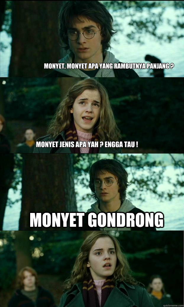 monyet, monyet apa yang rambutnya panjang ? monyet jenis apa yah ? engga tau ! monyet gondrong  Horny Harry