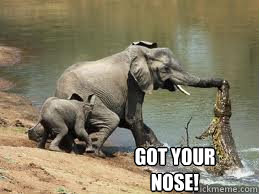  Got your nose! -  Got your nose!  Got your nose