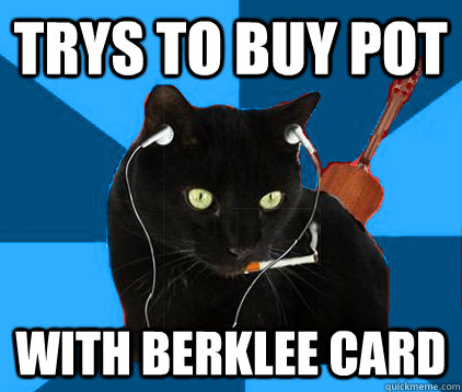 trys to buy pot with berklee card  Socially Awkward Berklee Cat