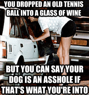 You dropped an old tennis ball into a glass of wine but you can say your dog is an asshole if that's what you're into  Karma Whore