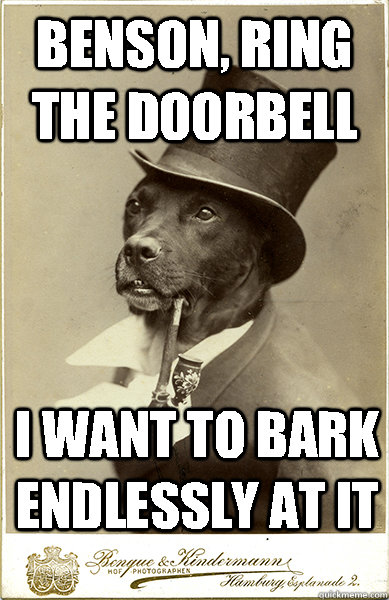benson, ring the doorbell i want to bark endlessly at it - benson, ring the doorbell i want to bark endlessly at it  Old Money Dog