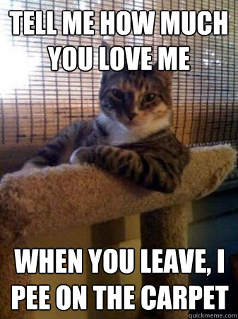 Tell me how much you love me When you leave, I pee on the carpet  The Most Interesting Cat in the World