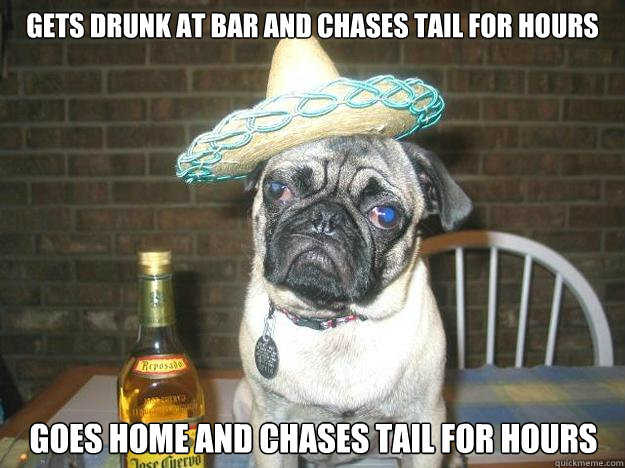 gets drunk at bar and chases tail for hours goes home and chases tail for hours - gets drunk at bar and chases tail for hours goes home and chases tail for hours  Vacation dog