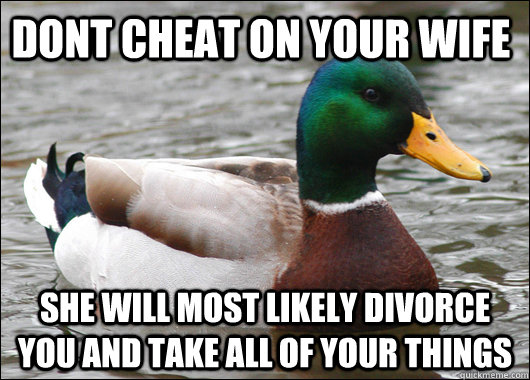 Dont cheat on your wife she will most likely divorce you and take all of your things - Dont cheat on your wife she will most likely divorce you and take all of your things  Actual Advice Mallard