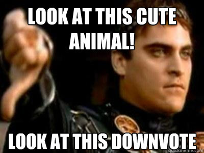 Look at this cute animal! look at this downvote  Downvoting Roman