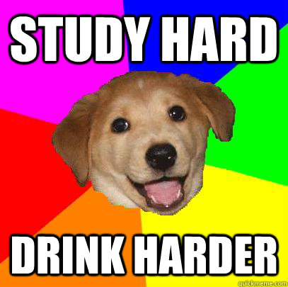 Study hard Drink harder  Advice Dog