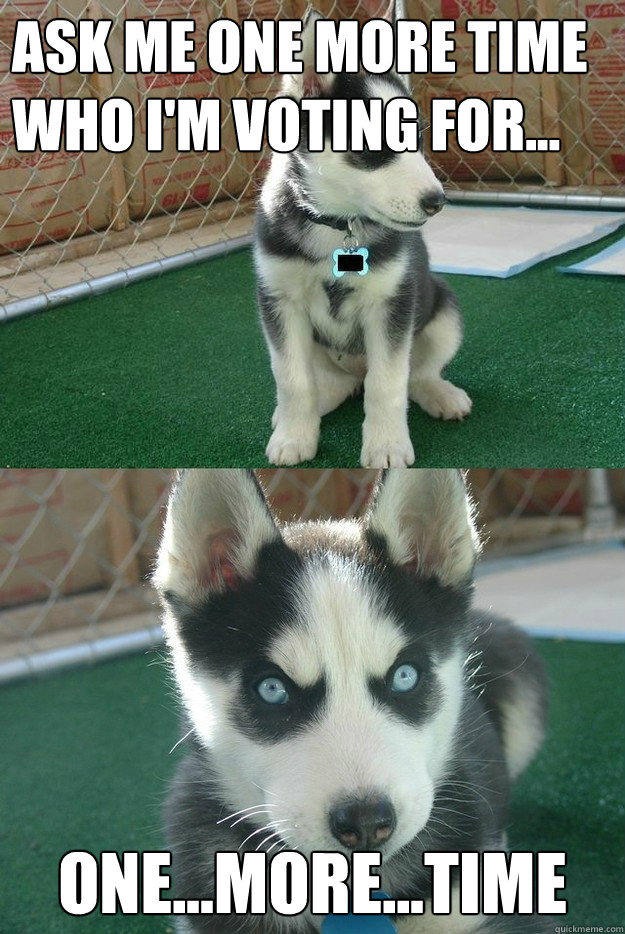 Ask me one more time who i'm voting for... one...more...time  Insanity puppy