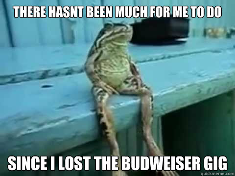 There hasnt been much for me to do since I lost the budweiser gig  SITTING FROG