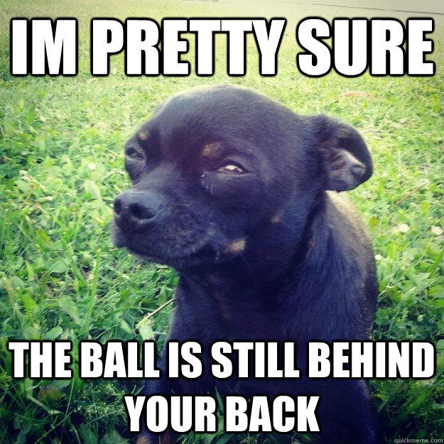 IM PRETTY SURE THE BALL IS STILL BEHIND YOUR BACK - IM PRETTY SURE THE BALL IS STILL BEHIND YOUR BACK  Skeptical Dog