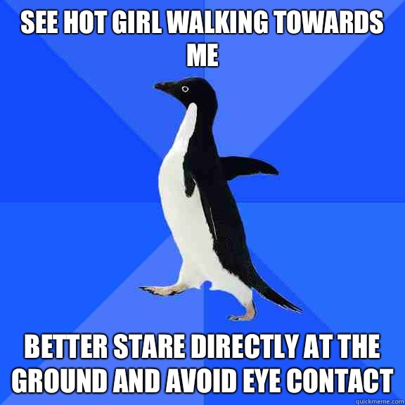See hot girl walking towards me Better stare directly at the ground and avoid eye contact  Socially Awkward Penguin